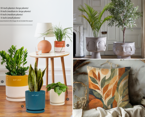 🌿 My Ultimate Indoor Houseplant & Urban Jungle Survival Kit ✨ cover photo collage