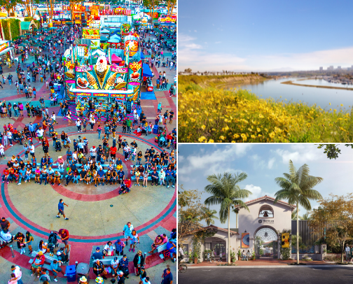 Best spots in town cover photo collage