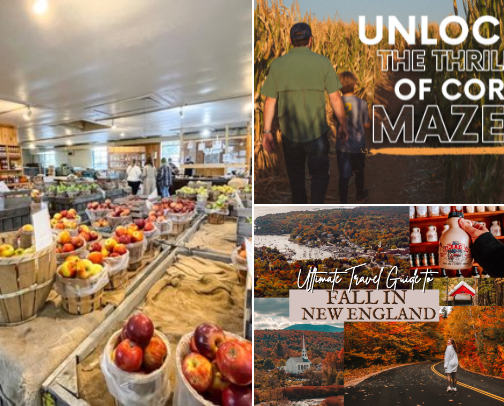 Embrace the Season: Your Ultimate Guide to Cozy Fall Activities and Adventures! cover photo collage