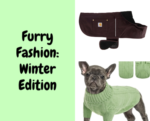 Furry Fashion: Winter Edition! cover photo collage