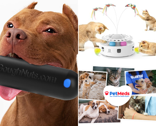 Let’s talk Pets~ cover photo collage