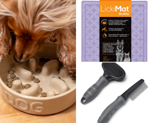Pet must haves. Things I use and love! cover photo collage