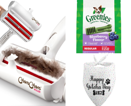 Dog Products Worth the Hype!🐶🐾🎀 cover photo collage