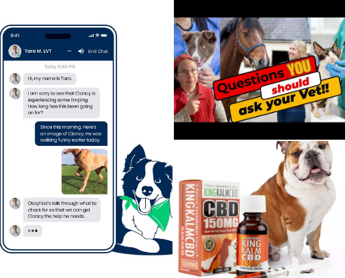 Pet lovers best resources!!!! cover photo collage