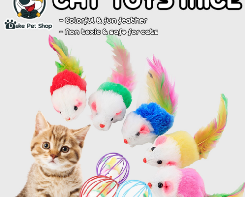 Cat’s needs 🐈‍⬛😻 cover photo collage