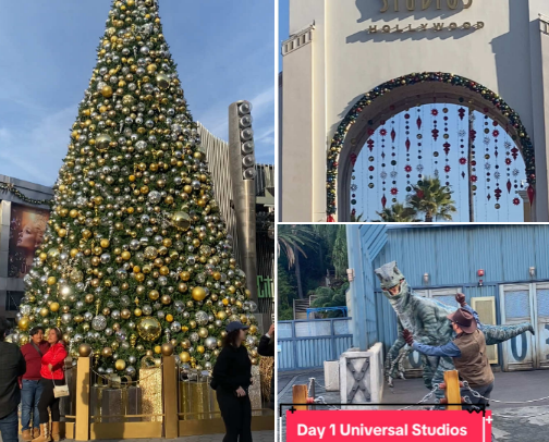 Univeral Studios California cover photo collage