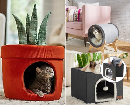 Are you kitten me? cover photo collage