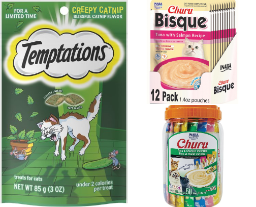 how i got my spicy feral cat to start to like me cover photo collage