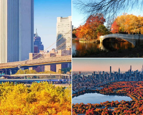 Women with Taste: An NYC Guide in the Fall cover photo collage