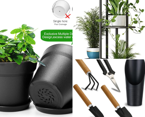 Small Space Gardening for Beginners cover photo collage
