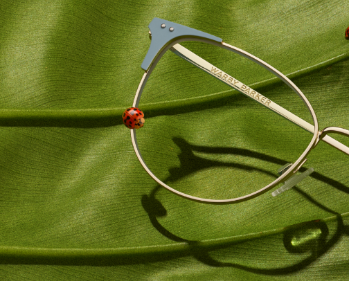 Warby Parker – Stylish Eyewear Made Simple cover photo collage