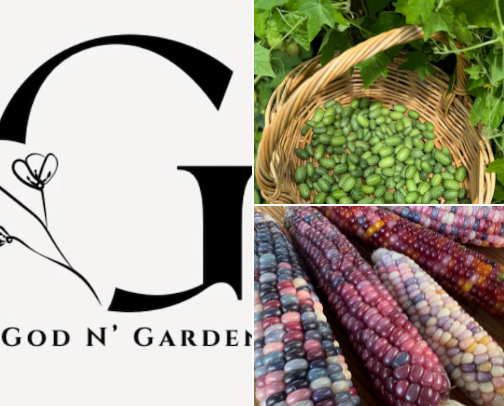 Gardening Seeds 🪴 Little Seeds, Big Joy cover photo collage