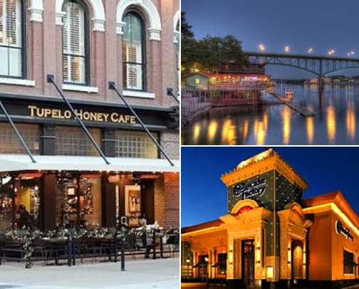 My top Knoxville recs cover photo collage