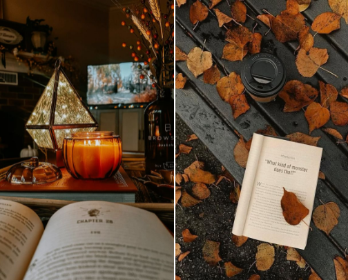 🍂Fall In Love With These Book Recommendations cover photo collage