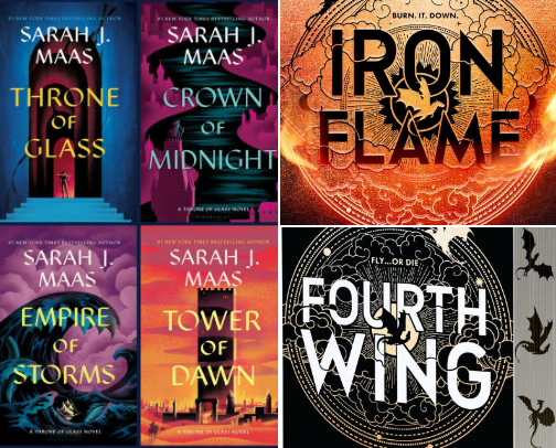 BookTok Favorites I Couldn’t Put Down (Fantasy & Romantasy) cover photo collage