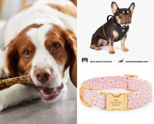 Dog goodies cover photo collage