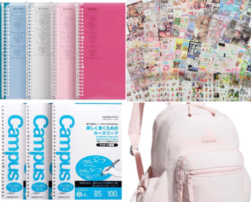 Inside My Bag: College Life Essentials cover photo collage