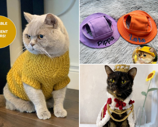 Cat Clothes (for cats) cover photo collage