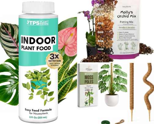 Plant Lovers cover photo collage