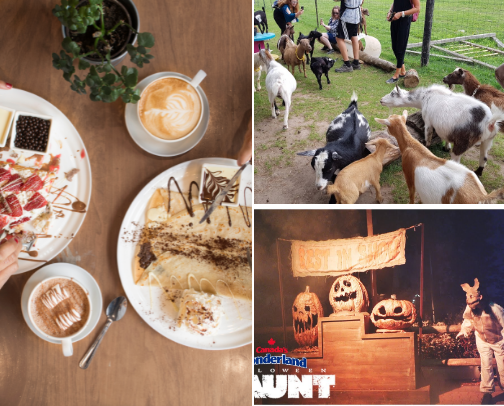 All Things Fall cover photo collage