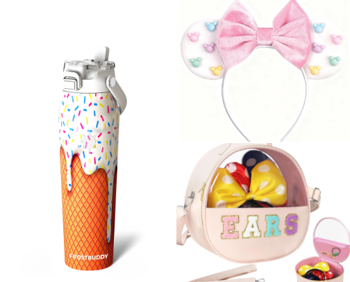 Theme Park Must Haves cover photo collage