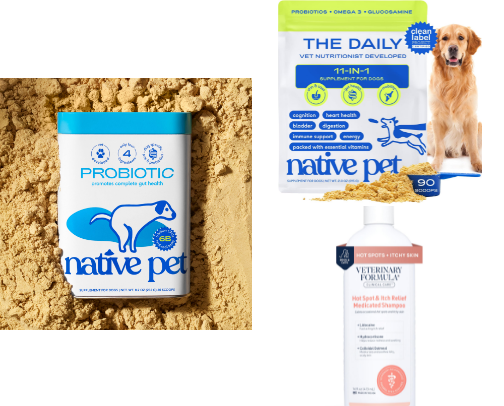 Dog Supplements + Health cover photo collage