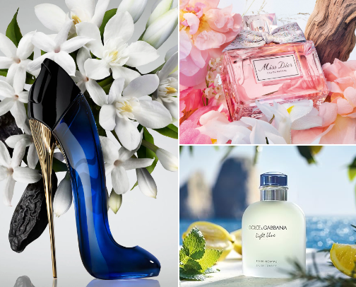 The best girly perfumes 🐚🌸💜 cover photo collage