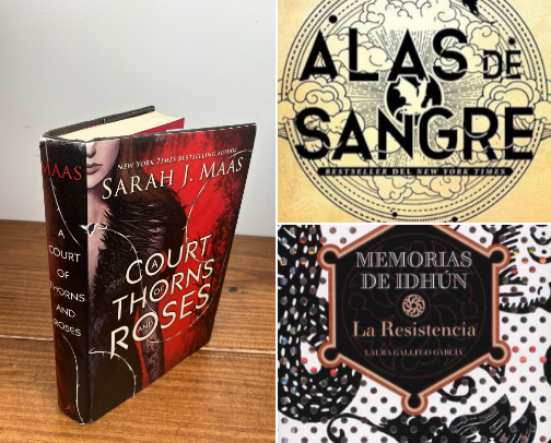 Books that I love and could read again cover photo collage