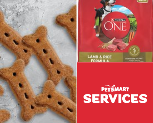 Pets are needy cover photo collage