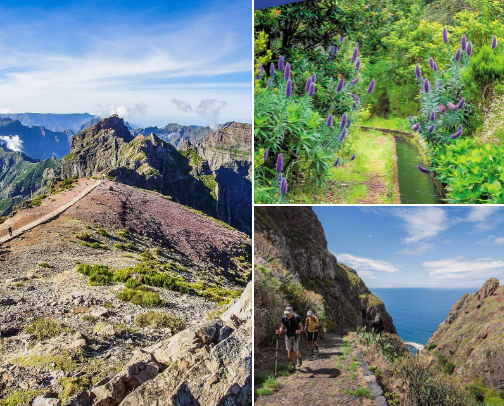 Hiking in Madeira cover photo collage