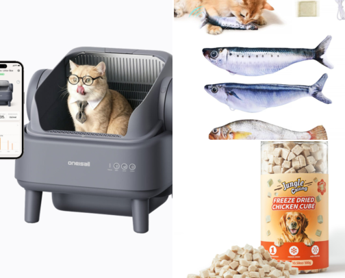 Cat stuff for my house cover photo collage
