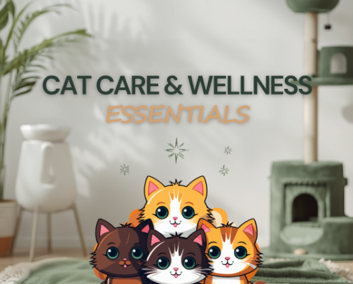 Essential Cat Care & Daily Wellness Supplies cover photo collage