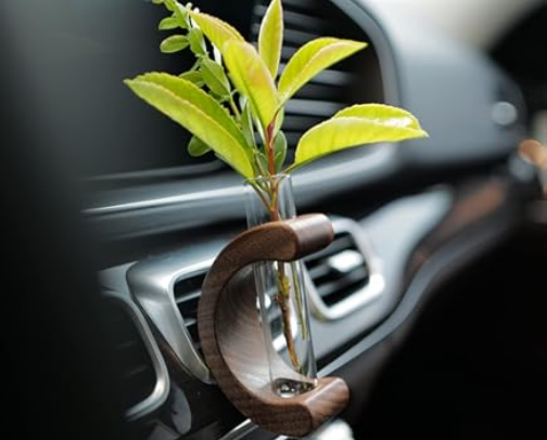 Car Organization & Clean-Up Essentials cover photo collage