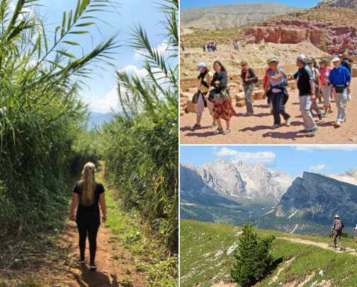 International Traveling and Tourism cover photo collage