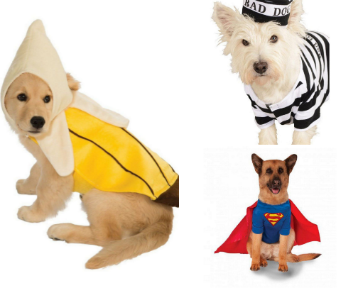The Cutest Halloween Costumes for your Dog cover photo collage