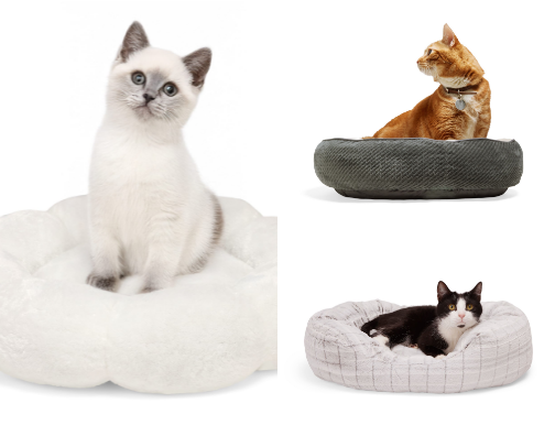 Cat Care Essentials Every Owner Needs cover photo collage