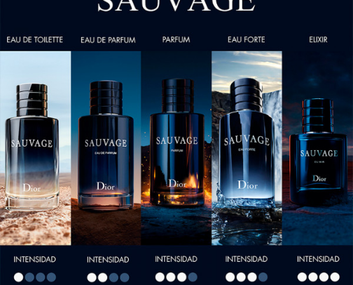 Perfumes cover photo collage
