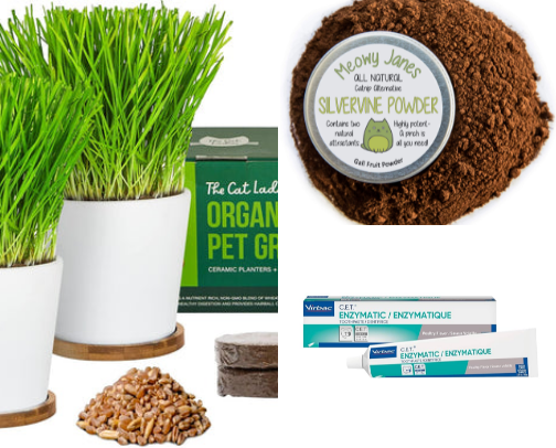 Animal Care🐈✨ cover photo collage