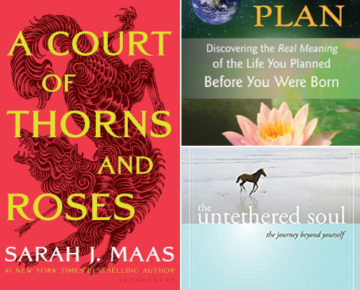📚book recs 📚 cover photo collage