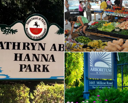 Things to do, places to go and things to eat in Jacksonville, Florida! cover photo collage