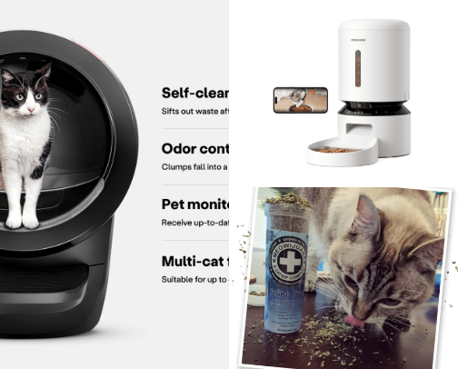 Cat owner must haves cover photo collage