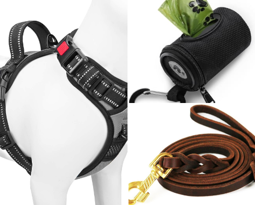 Dog essentials I actually recommend 🐶 🛒 cover photo collage