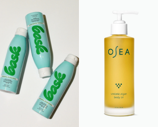 Summer 2025 Hot Girl Essentials🧡🦋🥝🍹 cover photo collage