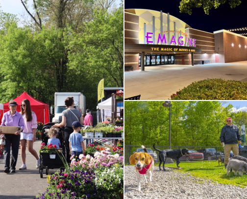 The Novi Edit: Eat, Shop & Unwind. cover photo collage