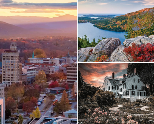 Fall & All cover photo collage