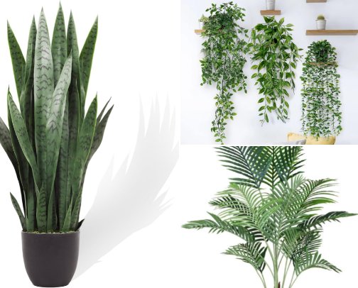 For those who love plants cover photo collage