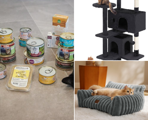 All things cat cover photo collage