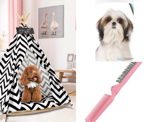 Dog necessities cover photo collage