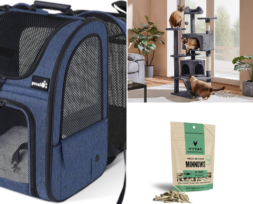 Cat Owner Essentials for a Long Thriving 9 Lives cover photo collage