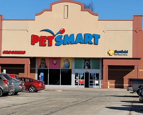 If you have a Pet you should shop at these great stores.  They have all the products you need from Food to Toys for all Pets. cover photo collage